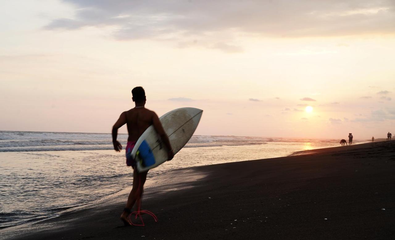 Shanti Surf Camp El Paredon Buena Vista Екстер'єр фото